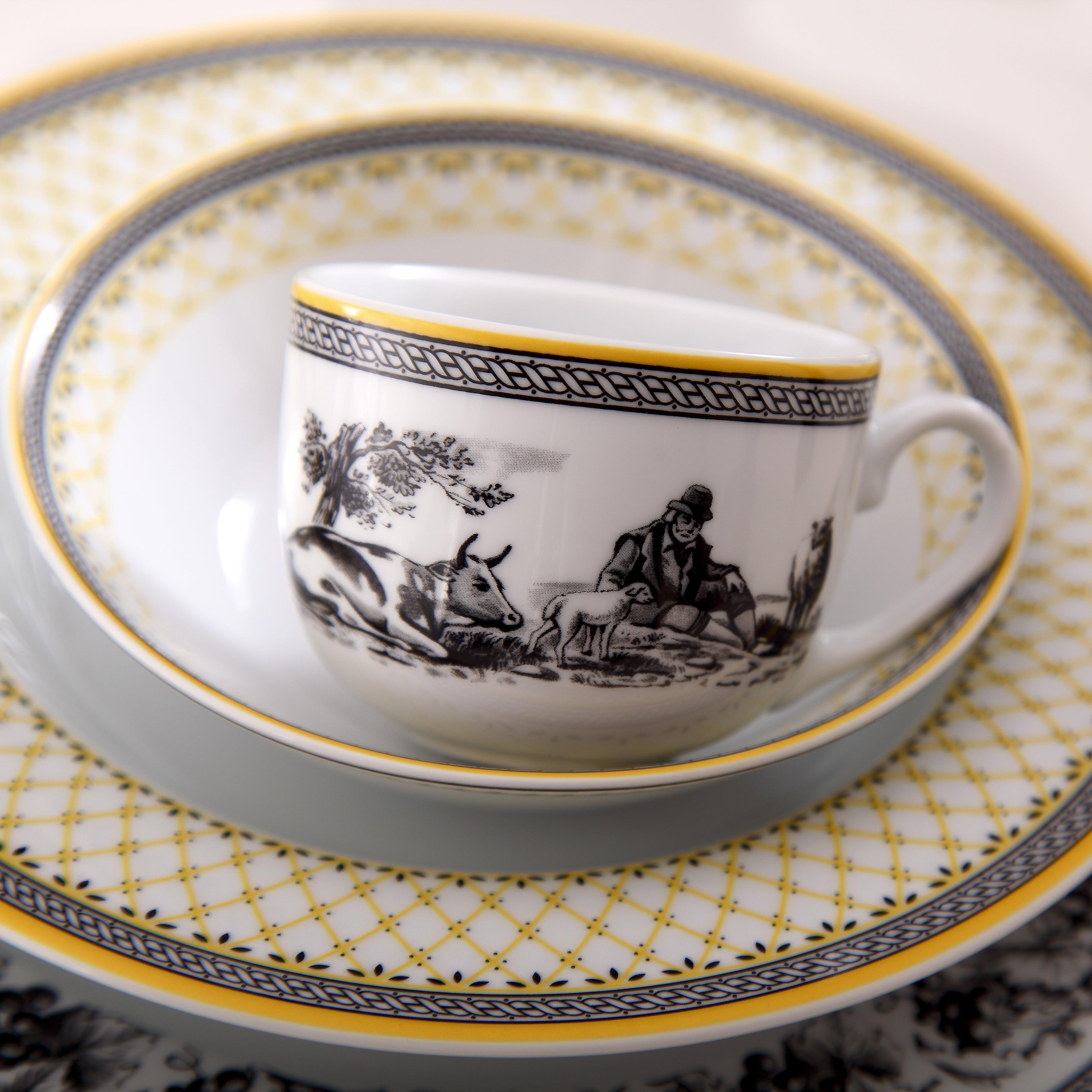 Village Italia F 6 Person Tea Cup Set
