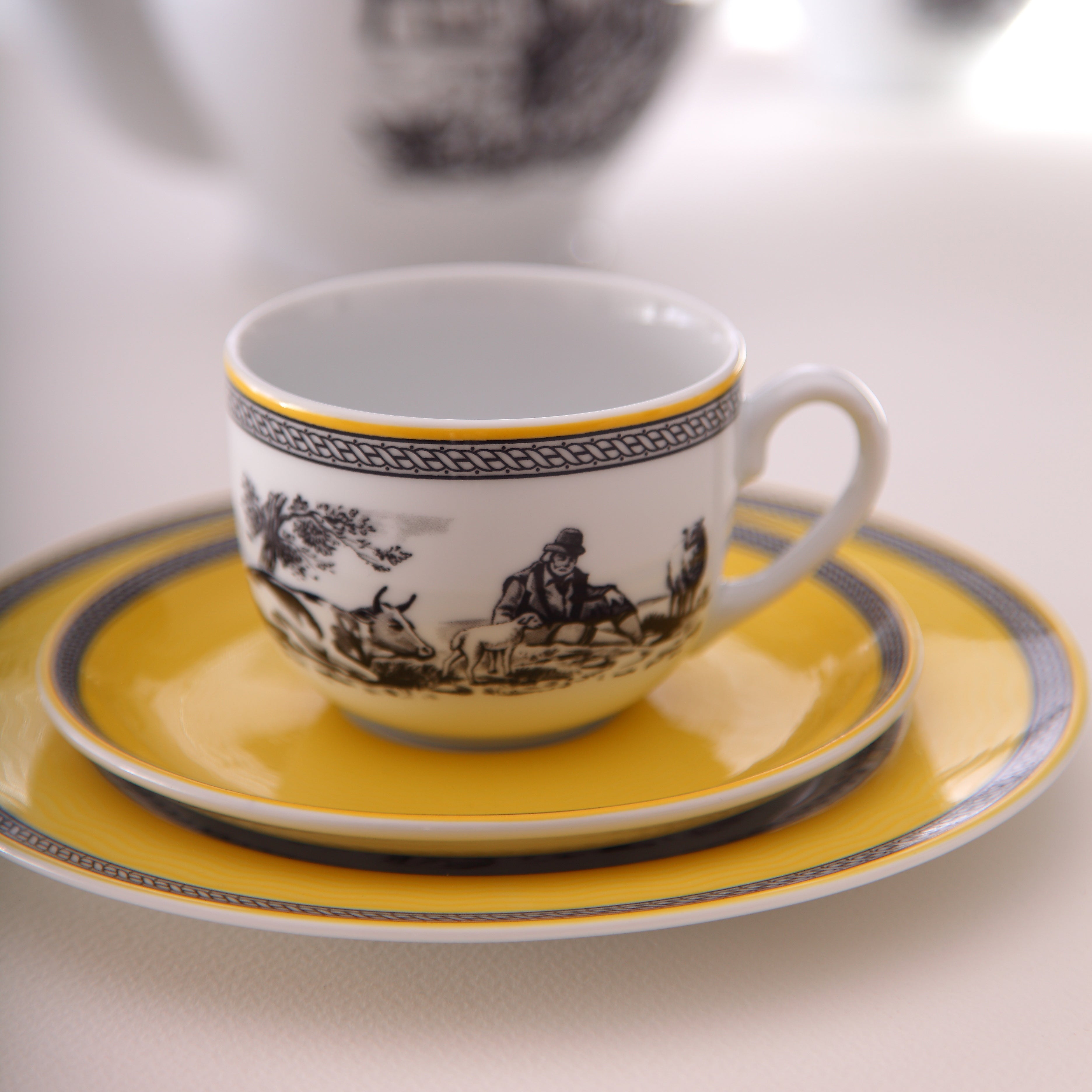 Village Italia F 6 Person Tea Cup Set